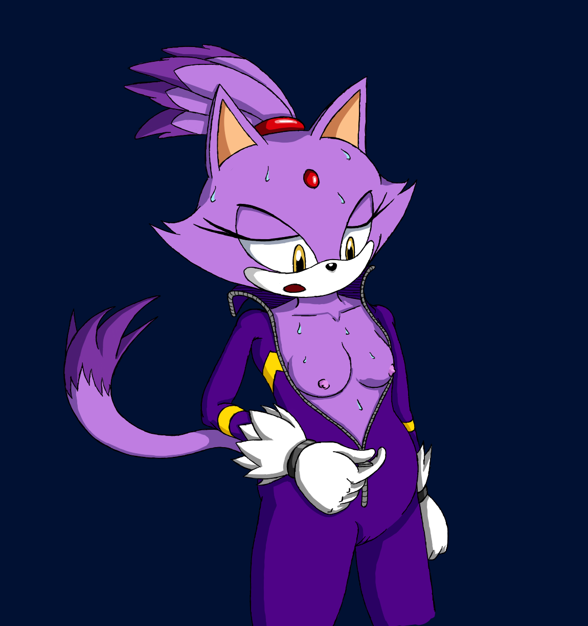 Rule34 – If it exists, there is porn of it / wildswingding, blaze the cat / 323988