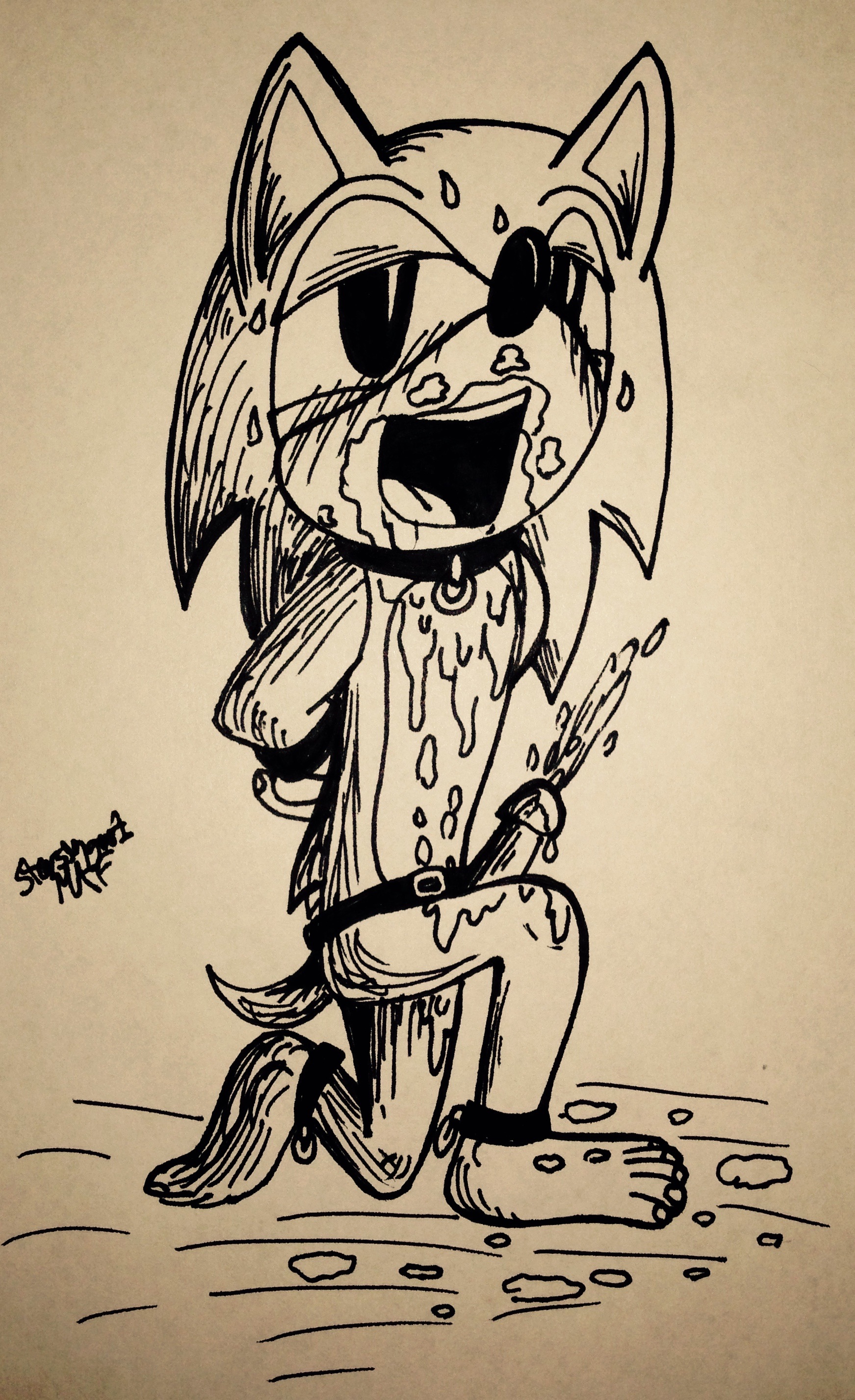 Rule34 – If it exists, there is porn of it / sonic the hedgehog / 324060