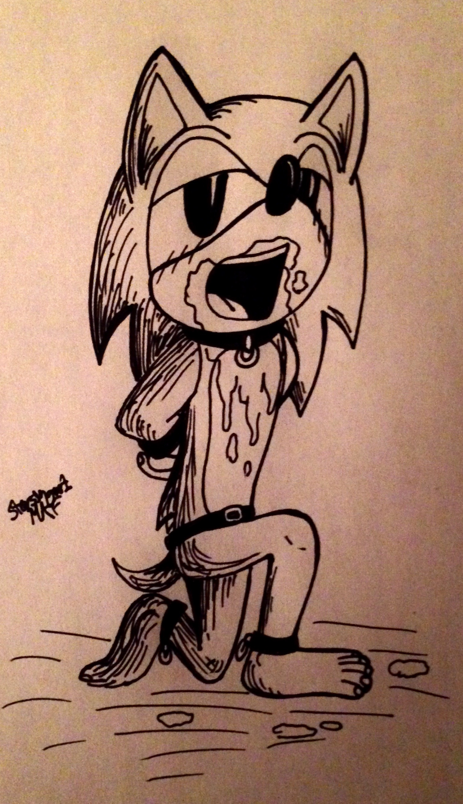 Rule34 – If it exists, there is porn of it / sonic the hedgehog / 324066