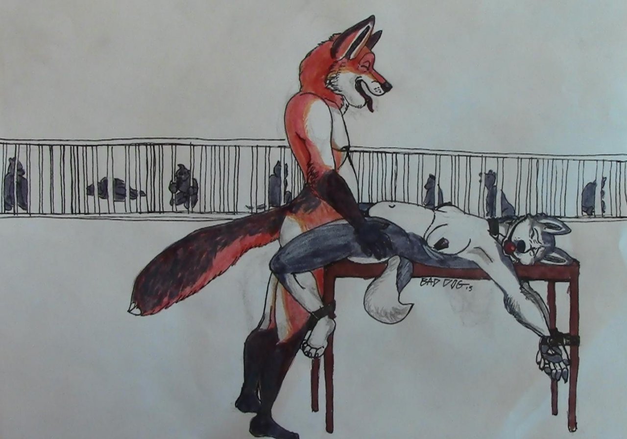 Rule34 – If it exists, there is porn of it / baddog / 324162