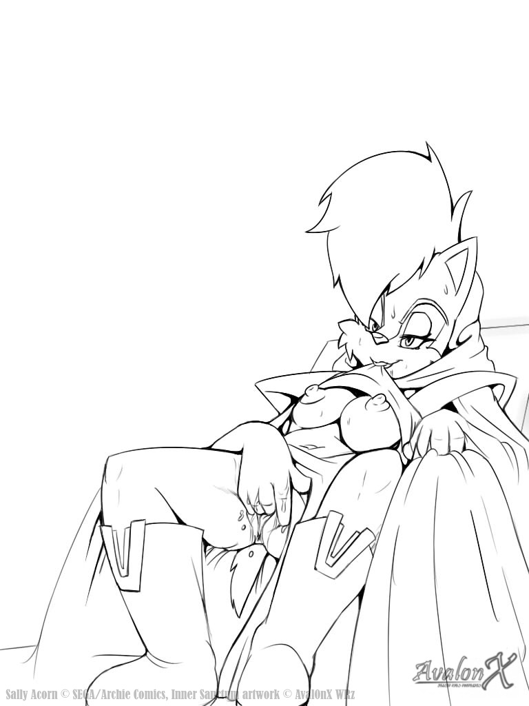 Rule34 – If it exists, there is porn of it / aval0nx, sally acorn / 324324