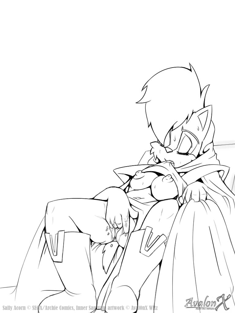 Rule34 – If it exists, there is porn of it / aval0nx, sally acorn / 324338