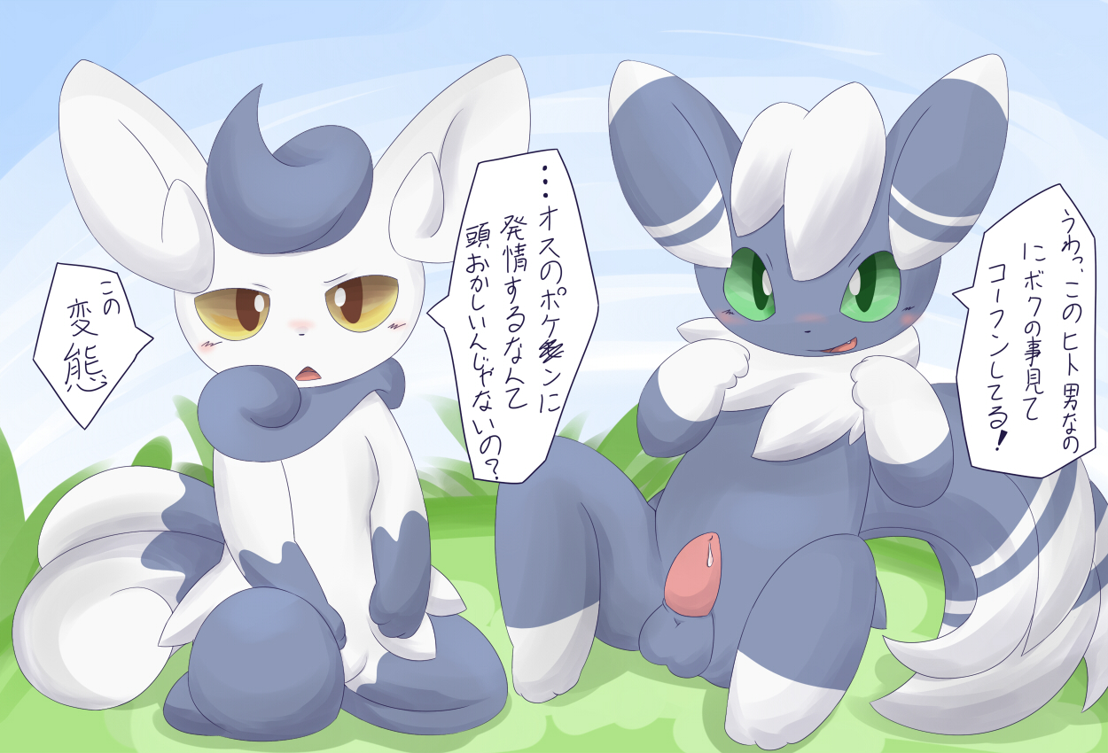 Rule34 – If it exists, there is porn of it / itameshi, meowstic / 324609