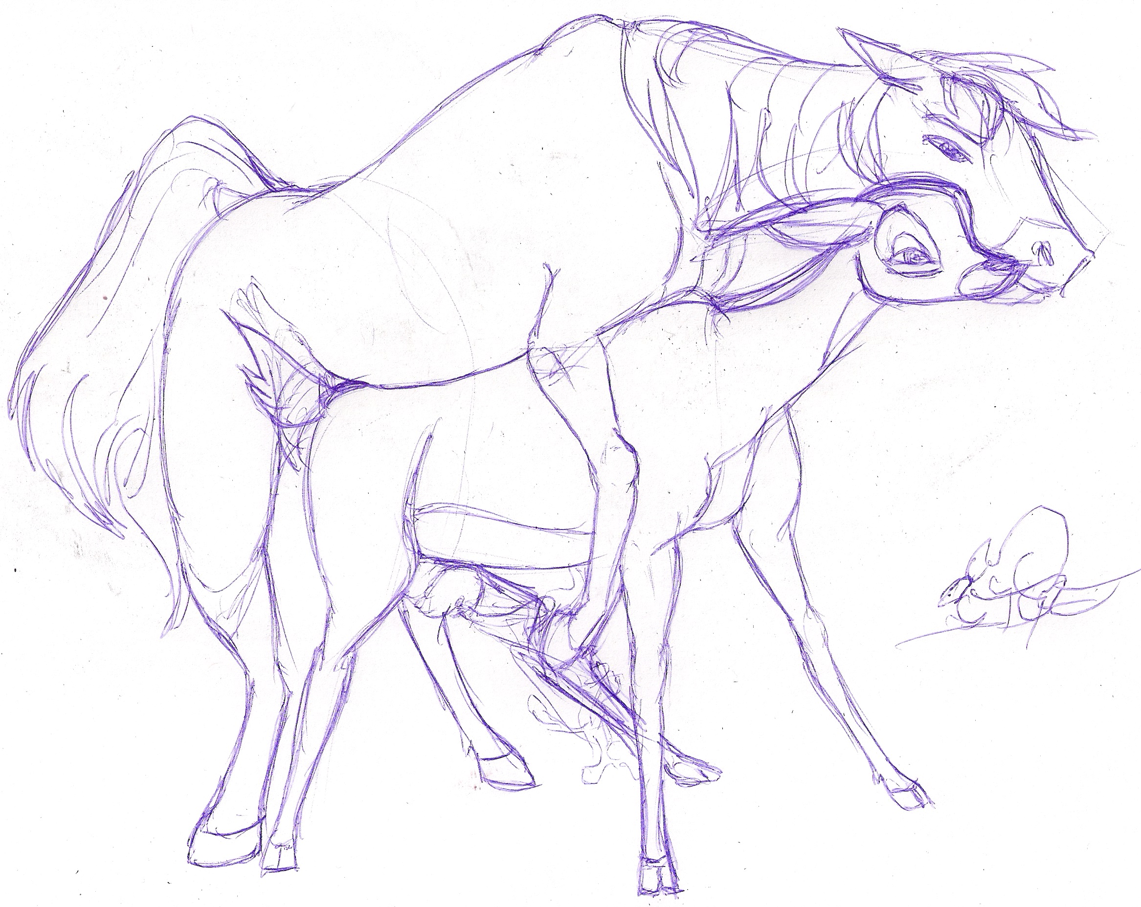 Rule34 – If it exists, there is porn of it / queensmate, bambi, faline / 324727