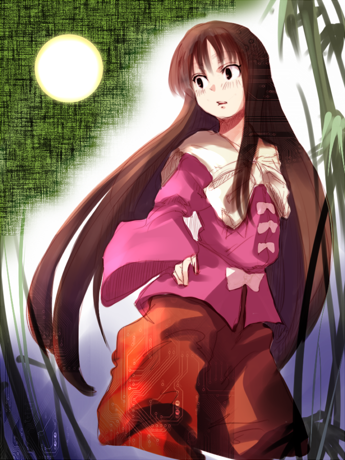 oyaji-sou, houraisan kaguya, touhou, bad id, bad pixiv id, 1girl, circuit board, female focus, long hair, moon, outdoors, sky, solo, standing