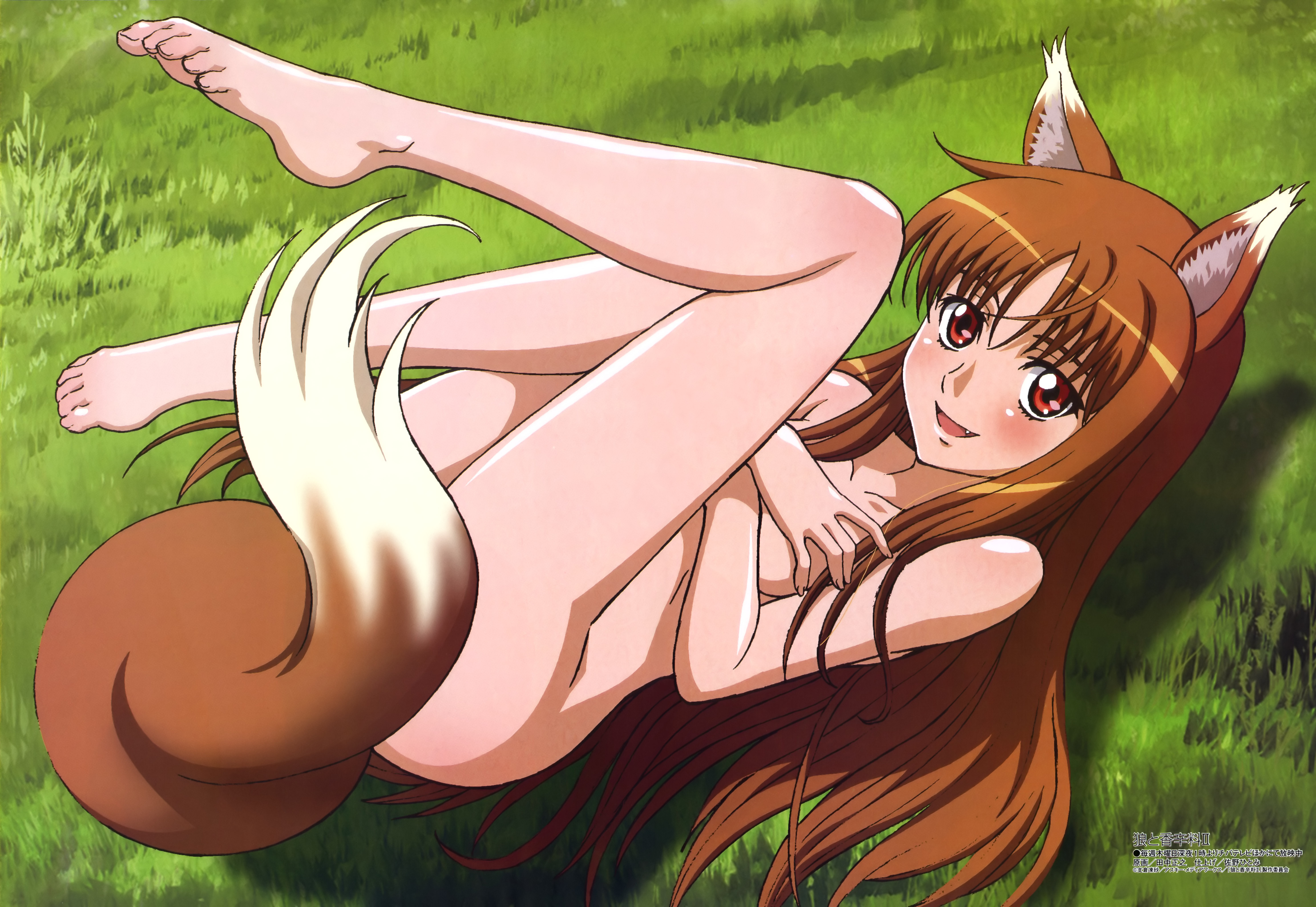 tanaka masayuki, holo, megami magazine, spice and wolf, breast hold, absurdres, highres, non-web source, official art, 00s, 1girl, :d, animal ears, barefoot, blush, breasts, censored, convenient censoring, covering breasts, covering crotch, covering privates, fang, feet, female focus, grass, knees to chest, long hair, long legs, lying, nude, nude cover, open mouth, outdoors, red eyes, smile, solo, tail, tail censor, toes, very long hair, wolf ears, wolf tail, zenra