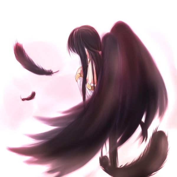 morrighan, mabinogi, 1girl, black hair, feathers, female focus, half updo, long hair, solo, wings