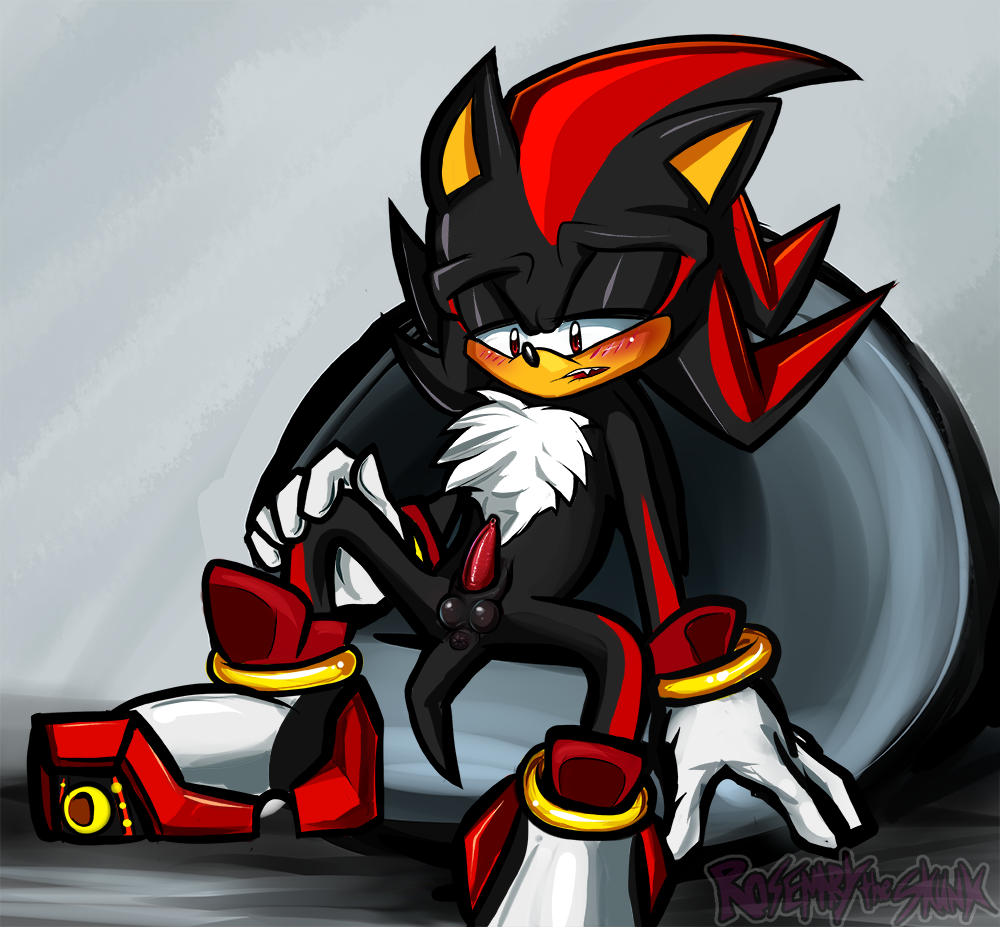 Rule34 – If it exists, there is porn of it / rosemary-the-skunk, shadow the hedgehog / 326110