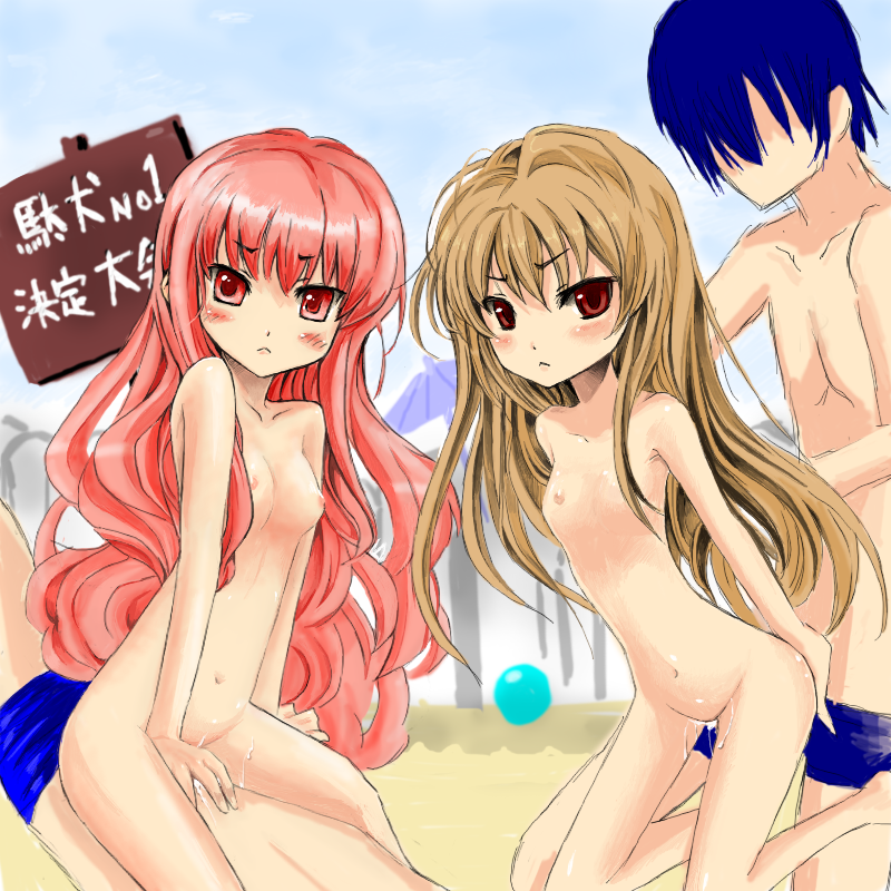 akinonasi, aisaka taiga, kugimiya rie, louise francoise le blanc de la valliere, takasu ryuuji, toradora!, zero no tsukaima, translation request, 00s, 1boy, 2girls, bad anatomy, bad hands, blue hair, blush, brown hair, flat chest, group sex, hetero, loli, long hair, multiple girls, nipples, nude, pink eyes, pink hair, red eyes, sex, short hair, sketch, small nipples, vaginal, voice actor connection