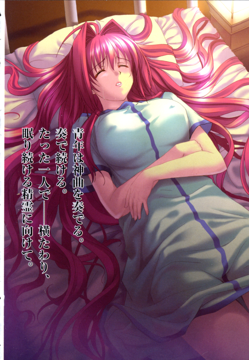 corticarte apa lagranges, shinkyoku soukai polyphonica, highres, tagme, 00s, long hair, red hair