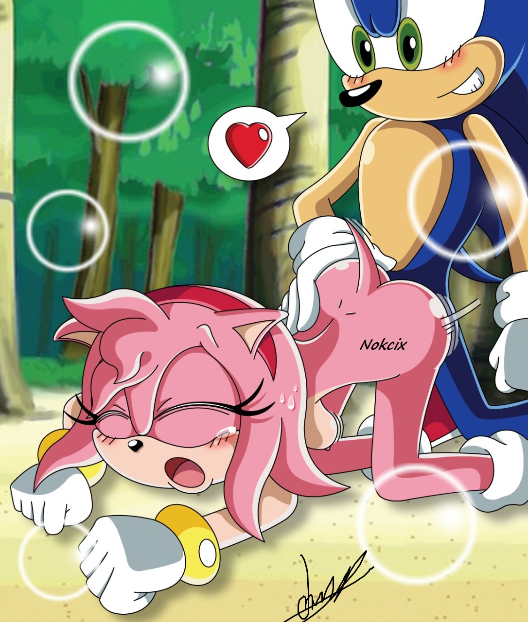 Rule34 – If it exists, there is porn of it / nokcix, amy rose, sonic the hedgehog / 326727