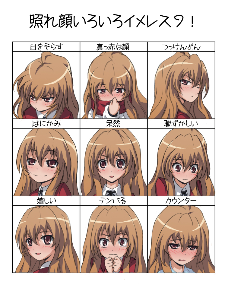 ranh, aisaka taiga, toradora!, 00s, 1girl, blush, brown eyes, brown hair, long hair, multiple expressions, smile