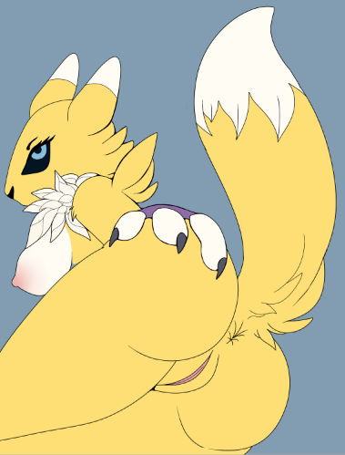 Rule34 – If it exists, there is porn of it / velvet., renamon / 327042