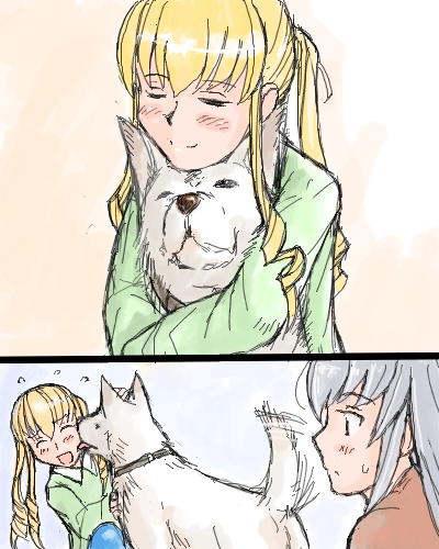 tsuda nanafushi, shinku, suigintou, rozen maiden, silver hair, lowres, 00s, aged up, blonde hair, casual, closed eyes, dog