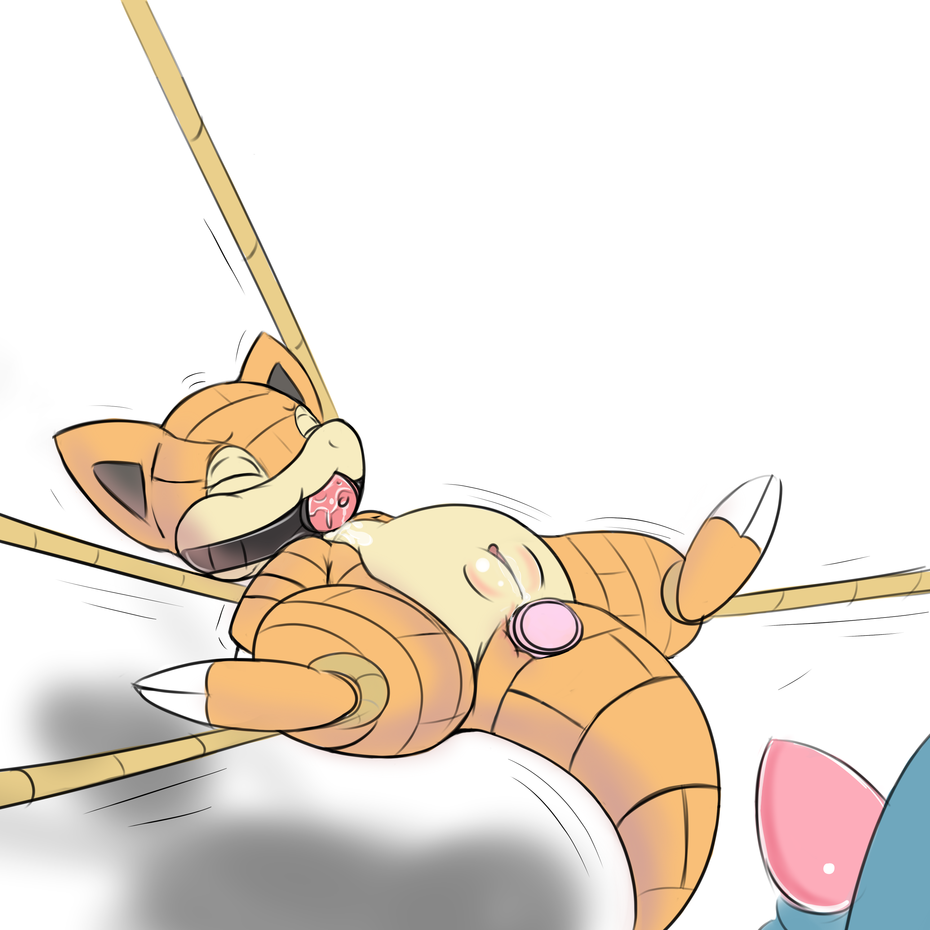 Rule34 – If it exists, there is porn of it / rairai, sandshrew / 327352