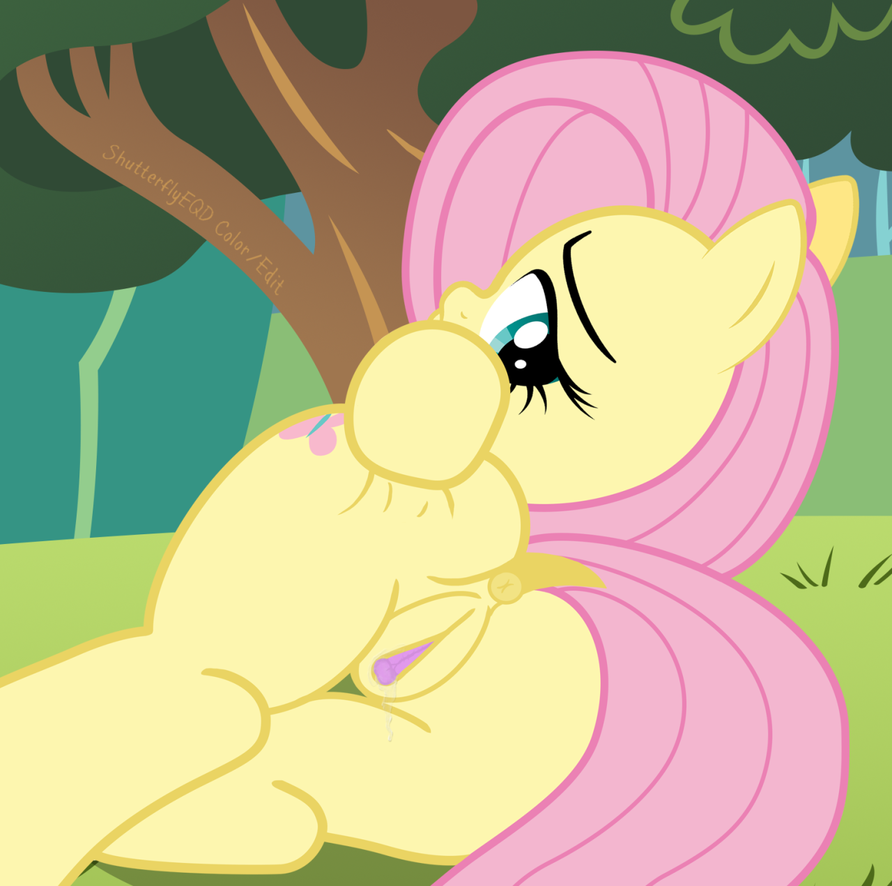 Rule34 – If it exists, there is porn of it / shutterflyeqd, fluttershy (mlp) / 327420