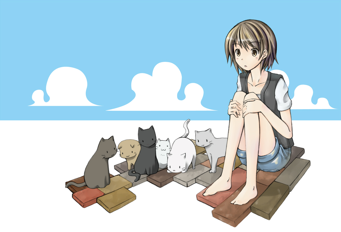 nekobaka, original, bad id, bad pixiv id, 1girl, :o, barefoot, brown hair, cat, denim, denim shorts, feet, female focus, hugging own legs, short hair, shorts, sitting, solo, too many, too many cats