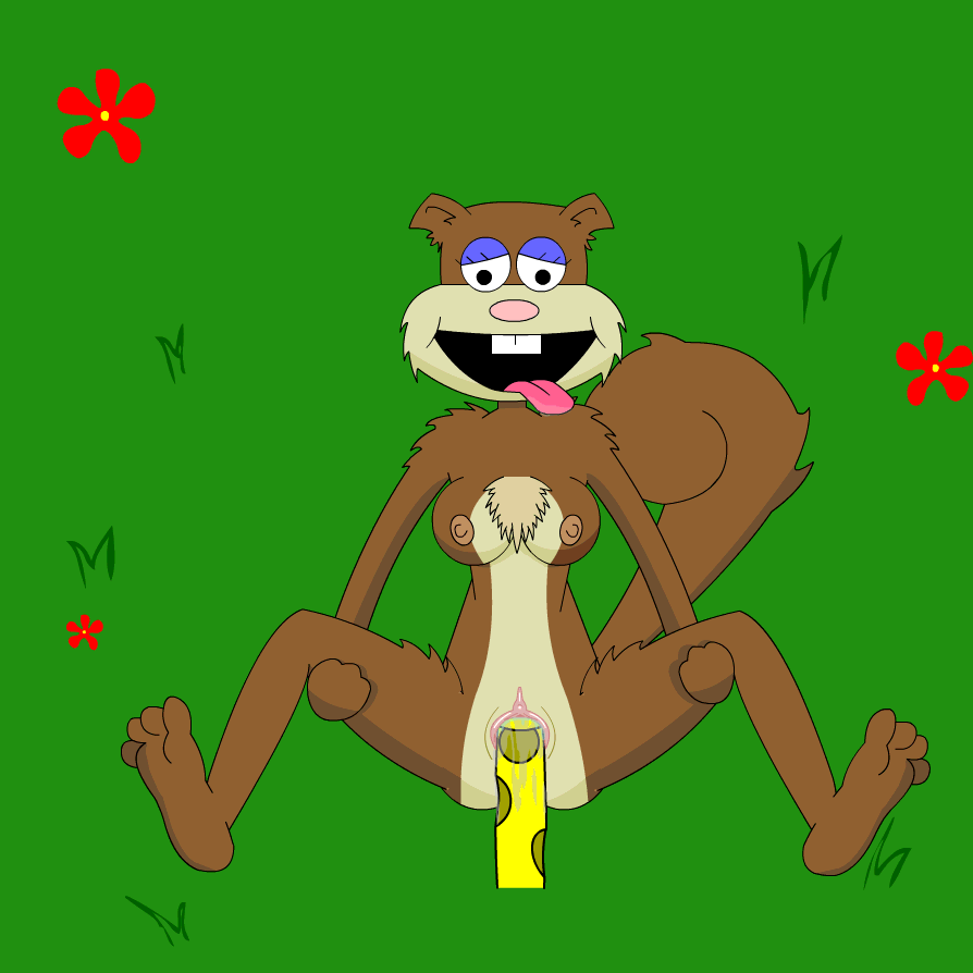 Rule34 – If it exists, there is porn of it / sandy cheeks / 327572