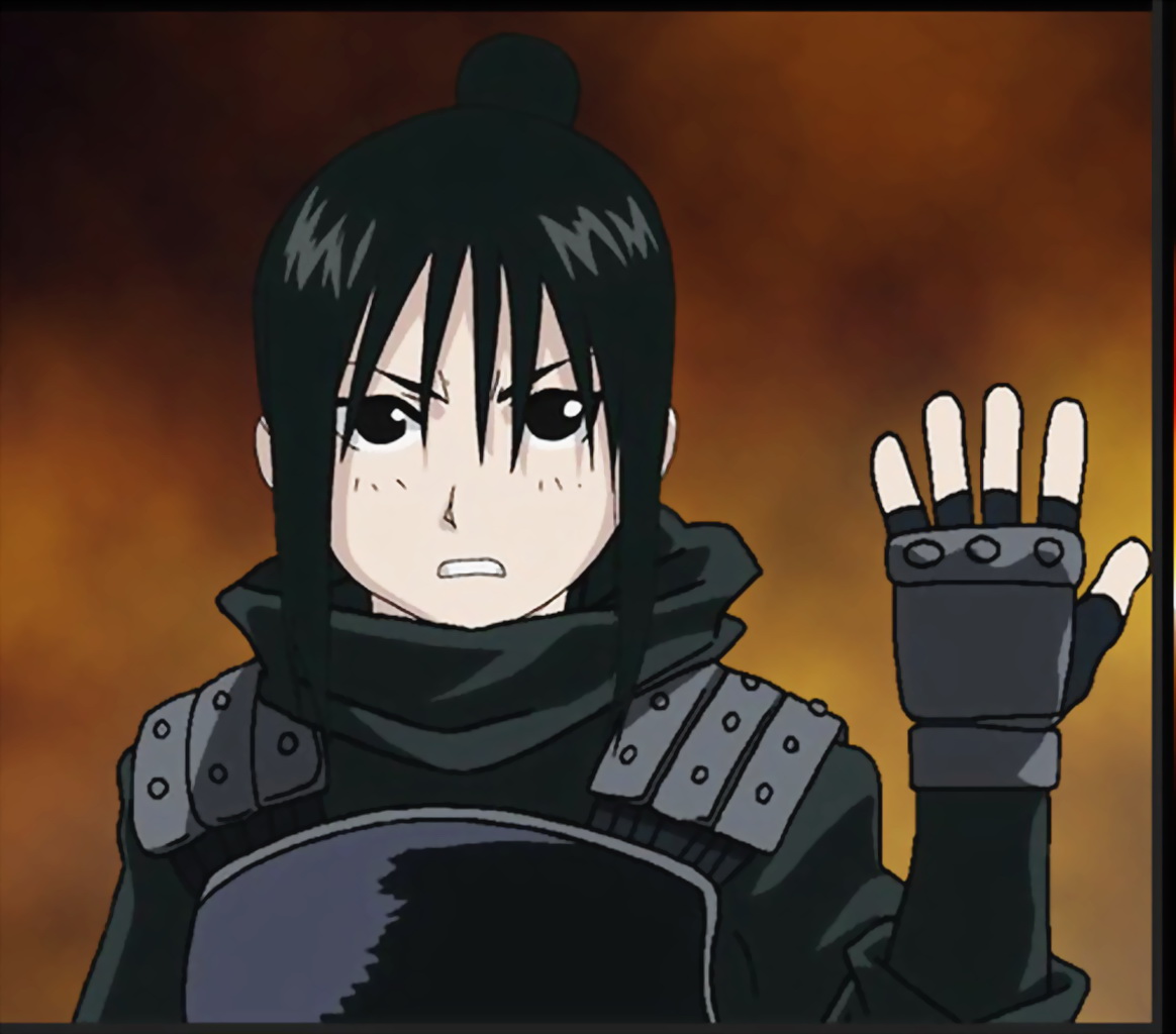 lan fan, fullmetal alchemist, tagme, 00s