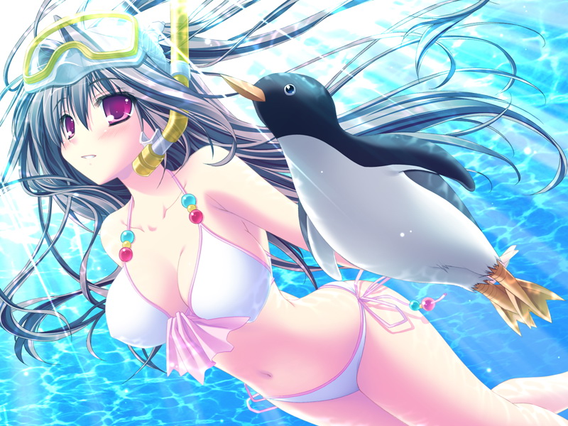 moribe (rabumanyo), nanase ayumu, natsu yume nagisa, bikini, bird, black hair, long hair, penguin, purple eyes, solo, swimming, swimsuit, underwater, water, white bikini
