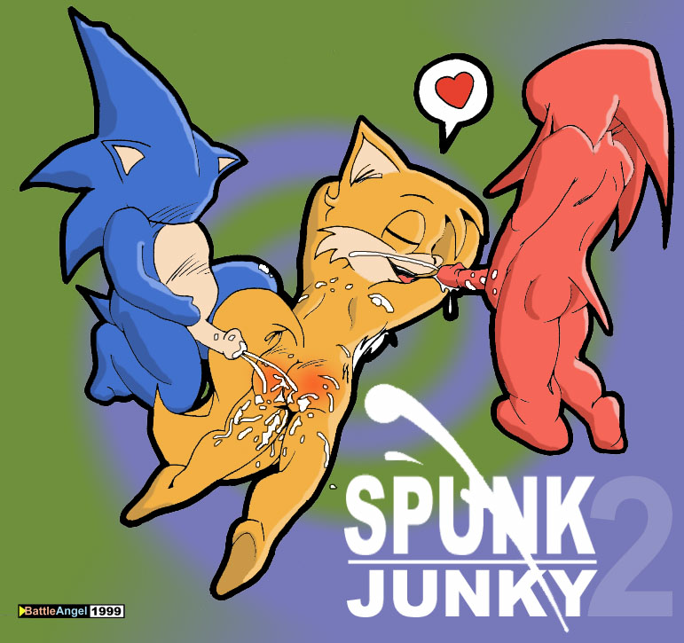 Rule34 – If it exists, there is porn of it / battle angel, knuckles the echidna, sonic the hedgehog, tails, team sonic / 328030