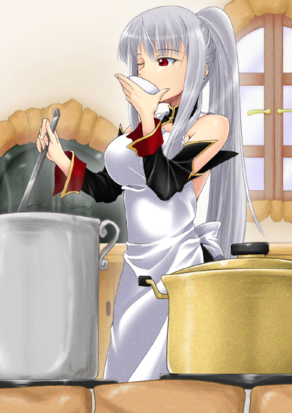kurogane (blackxsilver), selvaria bles, senjou no valkyria, senjou no valkyria (series), senjou no valkyria 1, pot, silver hair, 00s, 1girl, apron, cooking, detached sleeves, female focus, kitchen, ladle, red eyes, solo