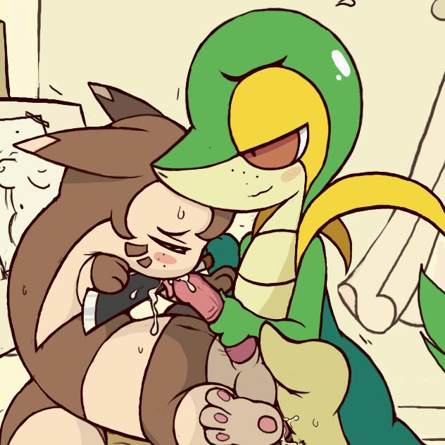 Rule34 – If it exists, there is porn of it / tricksta, furret, snivy / 328597