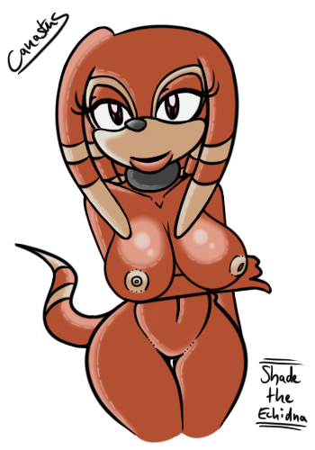 Rule34 – If it exists, there is porn of it / canastus, shade the echidna / 328751