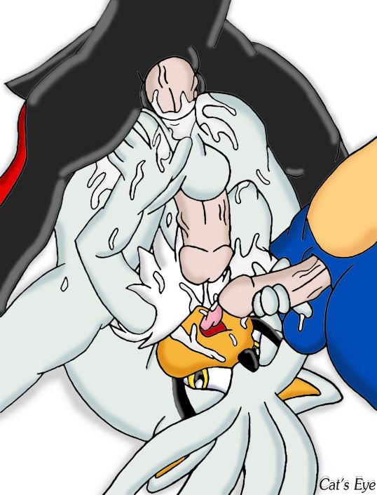 Rule34 – If it exists, there is porn of it / shadow the hedgehog, silver the hedgehog, sonic the hedgehog / 329560