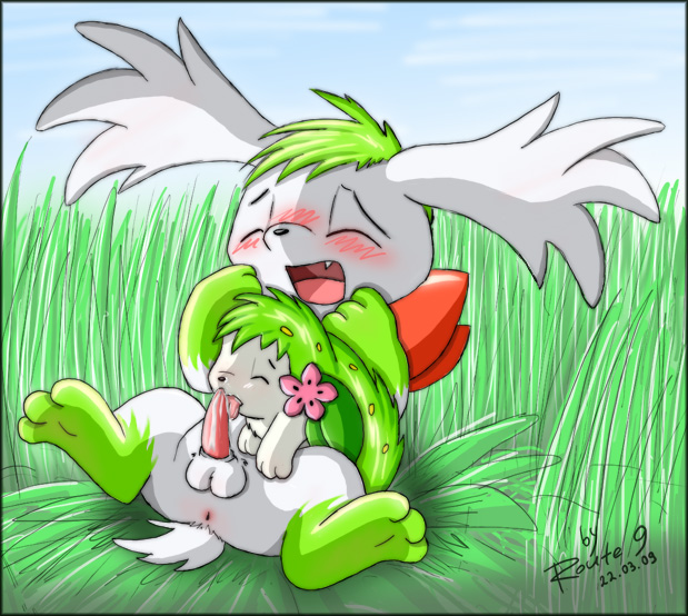 Rule34 – If it exists, there is porn of it / route9, shaymin, shaymin (sky form) / 329571