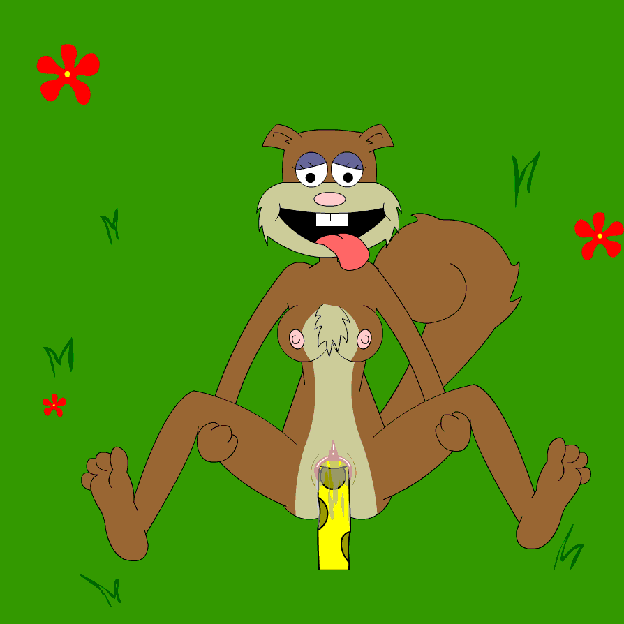 Rule34 – If it exists, there is porn of it / sandy cheeks, spongebob squarepants (character) / 329876