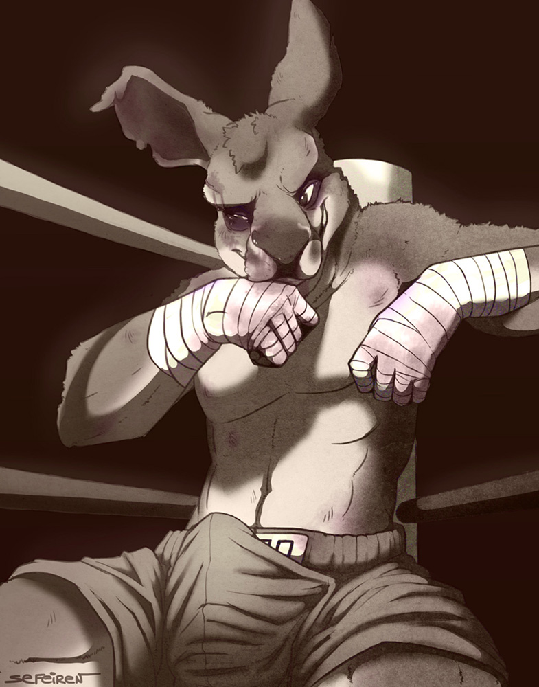 Rule34 – If it exists, there is porn of it / sefeiren / 329926