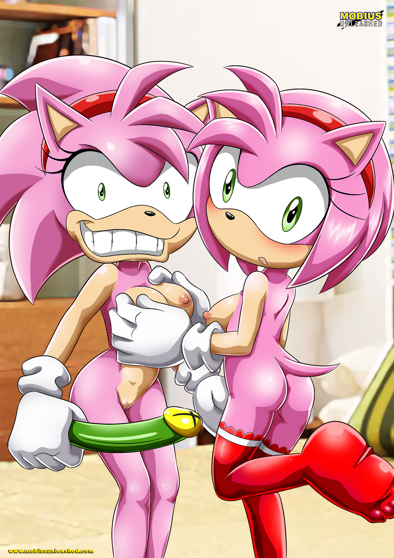 Rule34 – If it exists, there is porn of it / amy rose, rosy the rascal / 331440