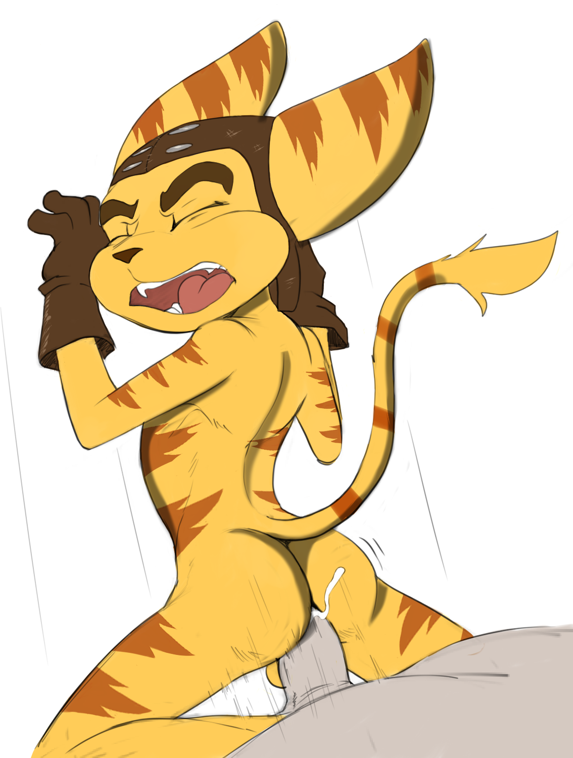 Rule34 – If it exists, there is porn of it / jerseydevil, ratchet / 331806