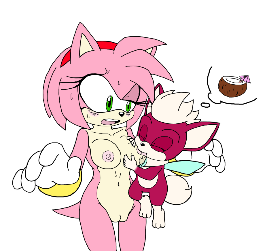 Rule34 – If it exists, there is porn of it / (colored by) kiyoshifox, leatherruffian, amy rose, chip (sonic), coconut / 331823
