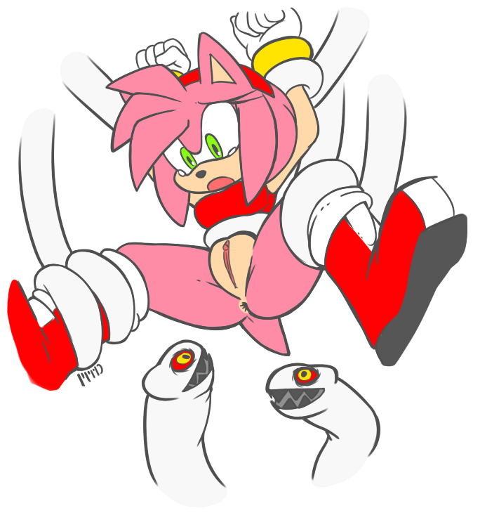 Rule34 – If it exists, there is porn of it / marthedog, amy rose, boom boo / 333413