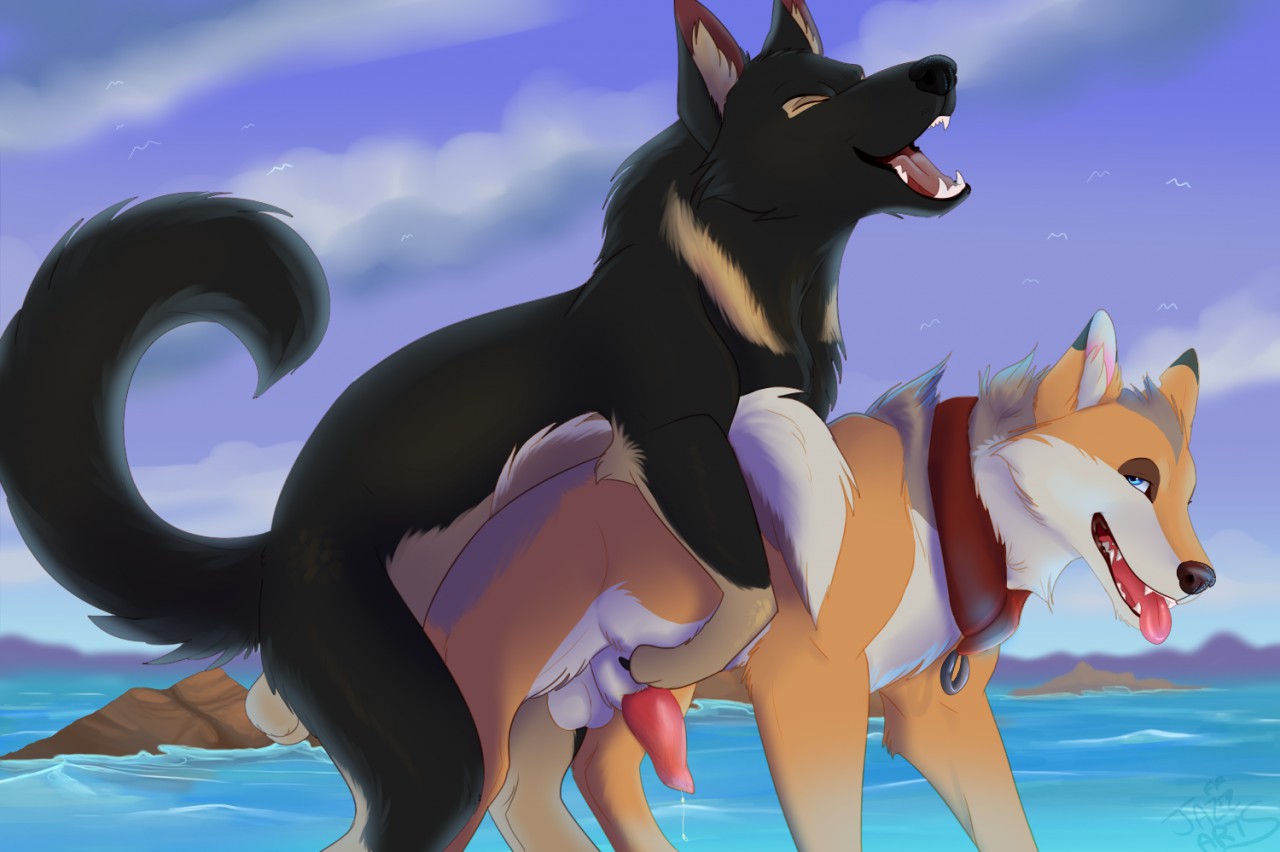 Rule34 – If it exists, there is porn of it / chinook, streetdog / 334551