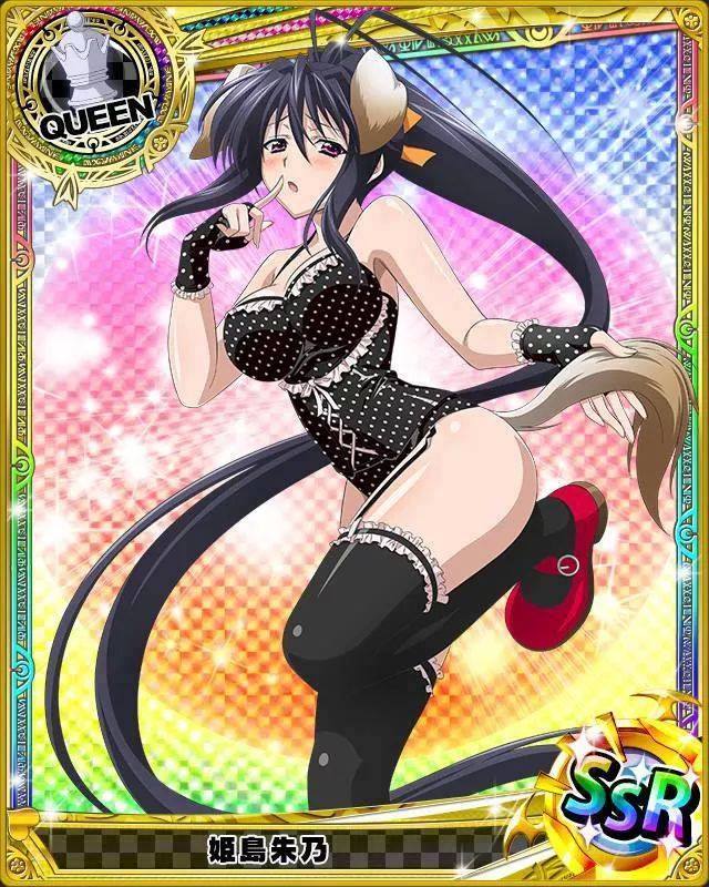 Rule34 – If it exists, there is porn of it / animius, akeno himejima / 334916