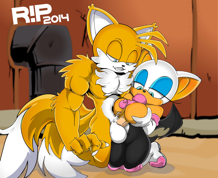Rule34 – If it exists, there is porn of it / r!p, rouge the bat, tails / 336834