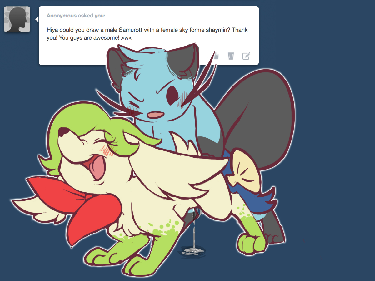 Rule34 – If it exists, there is porn of it / whimsydreams, dewott, shaymin / 337441