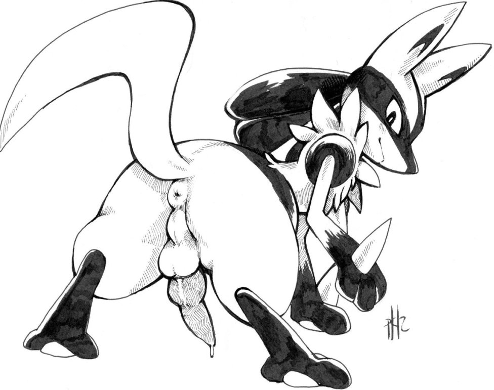 Rule34 – If it exists, there is porn of it / purplekecleon, lucario / 338676