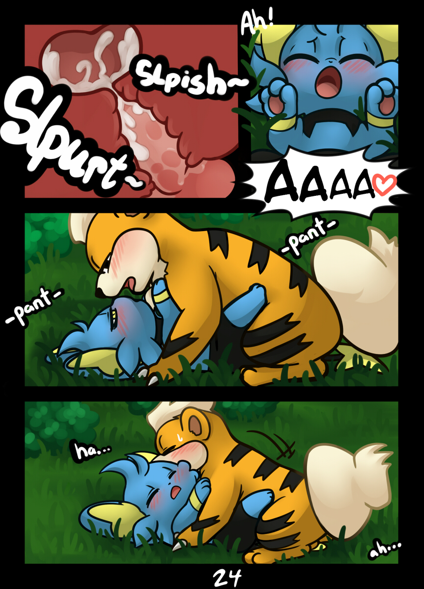 Rule34 – If it exists, there is porn of it / ohmuu, growlithe, shinx / 339123