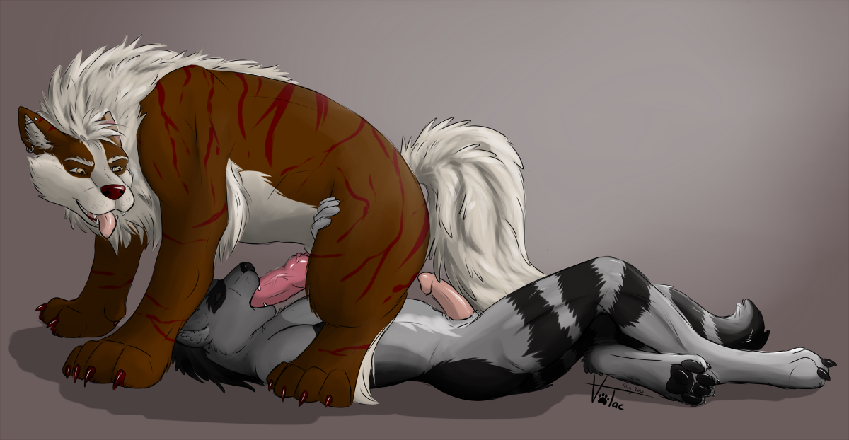 Rule34 – If it exists, there is porn of it / volac (artist), arcanine, jakethecoon (character) / 340953