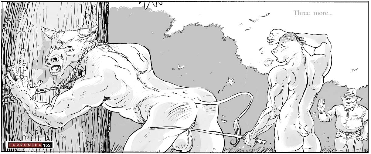 Rule34 – If it exists, there is porn of it / furronika / 343201