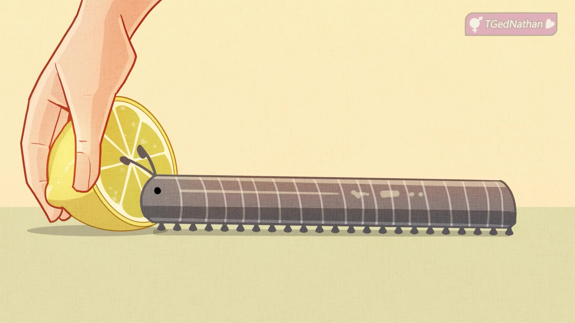 Rule34 – If it exists, there is porn of it / / 8713258