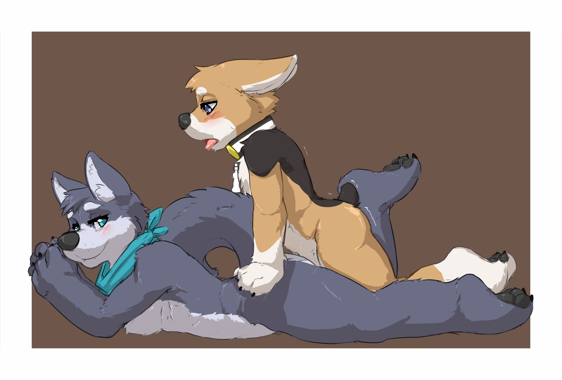 Rule34 – If it exists, there is porn of it / seth-iova, bailey (housepets!), king (housepets!) / 343577