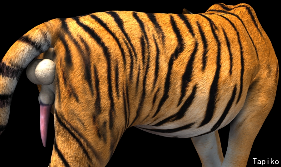 Rule34 – If it exists, there is porn of it / tapiko / 343958