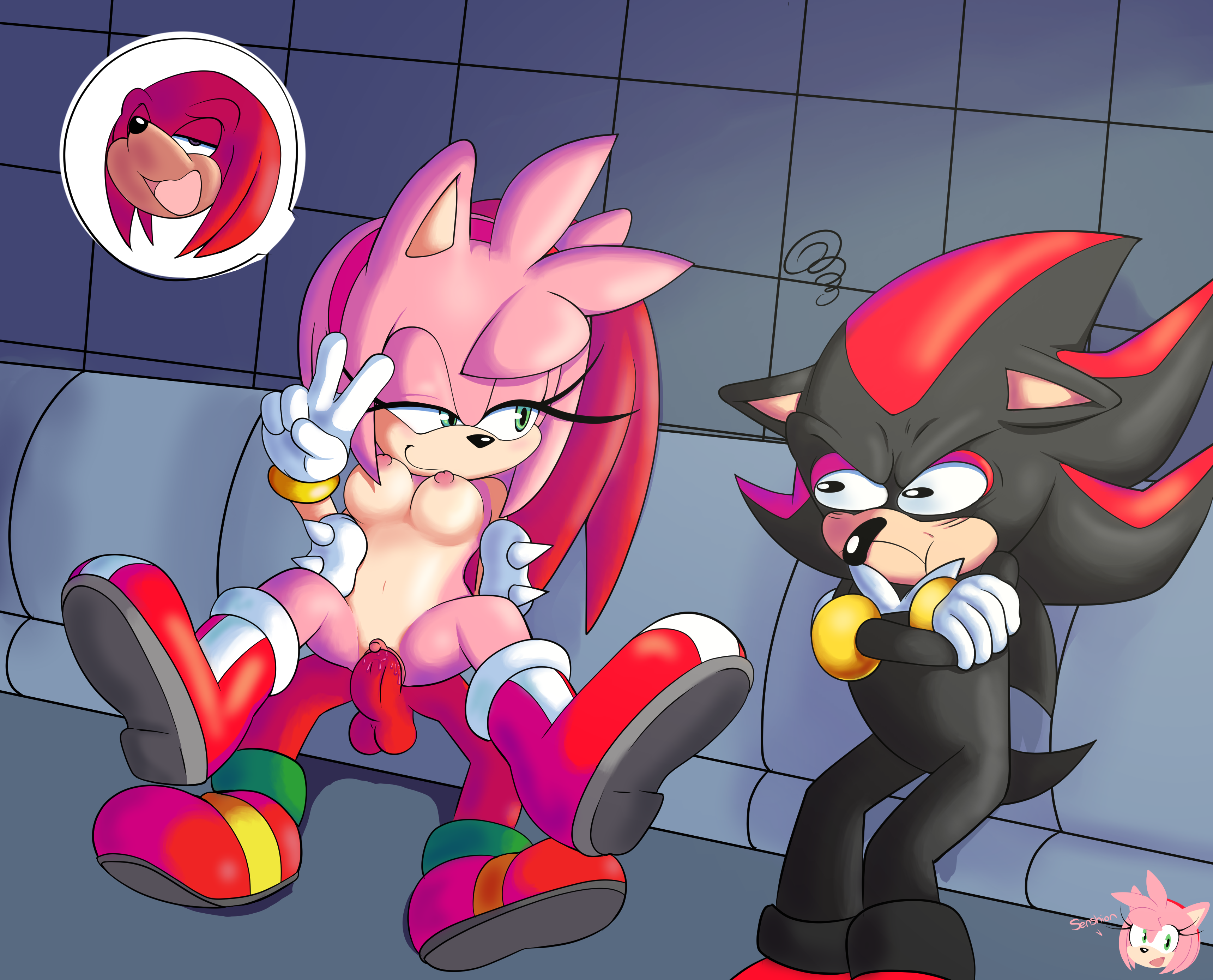 Rule34 – If it exists, there is porn of it / senshion, amy rose, knuckles the echidna, shadow the hedgehog / 344358