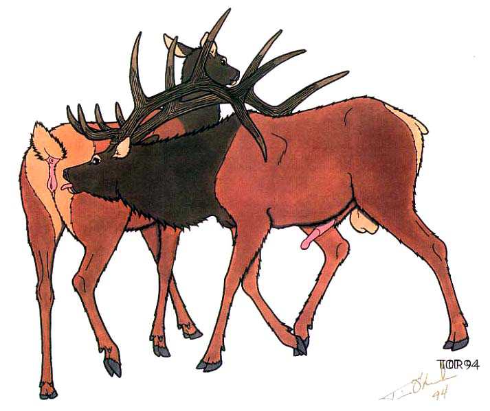 Rule34 – If it exists, there is porn of it / / 344470