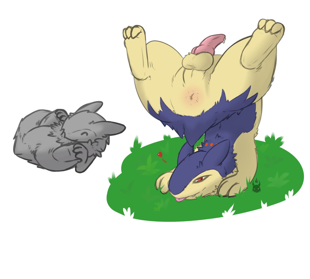 Rule34 – If it exists, there is porn of it / redras shoru, typhlosion / 344712